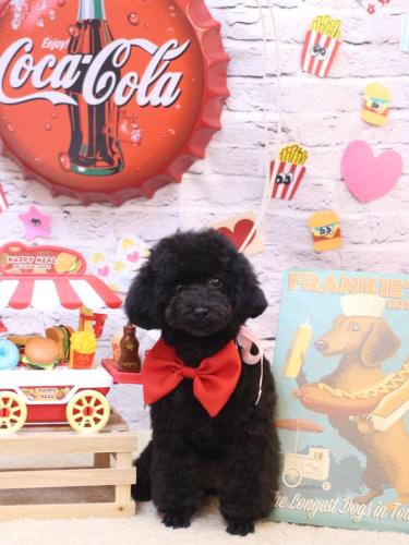 20230914豆ちゃん